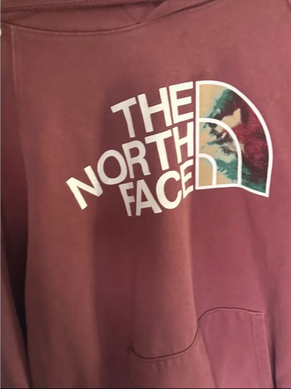 The North Face Men's Pullover Hoodie in Dusty Rose